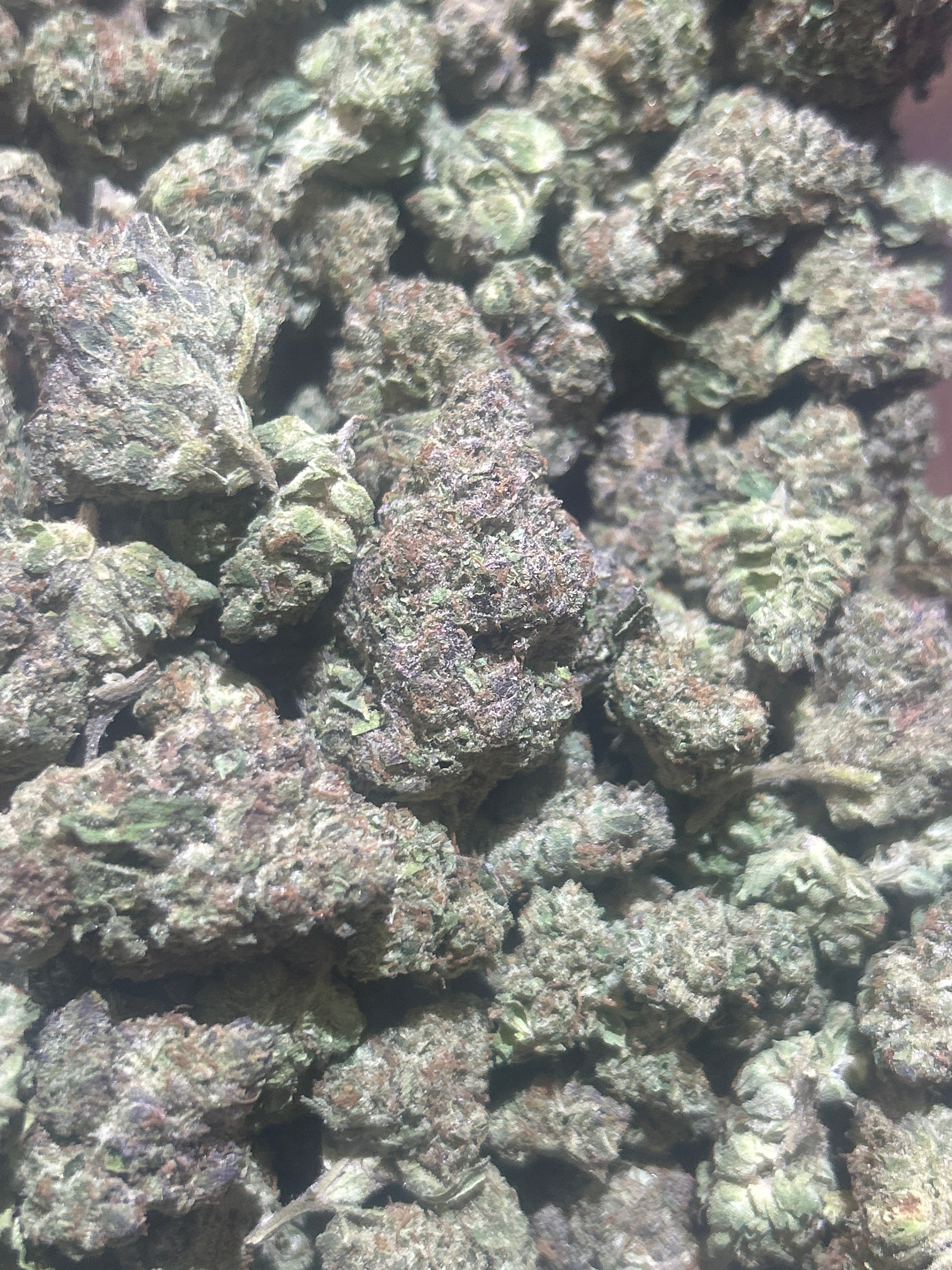 Lemon Cherry Gelato